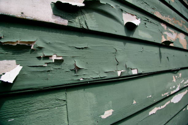 Best Residential Vinyl Siding Installation  in Creola, AL