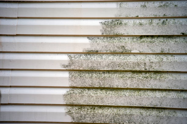 Best Custom Siding Design  in Creola, AL