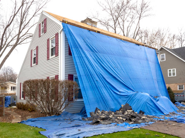 Best Insulated Siding Installation  in Creola, AL