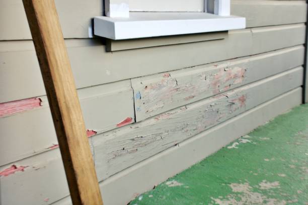 Best Storm Damage Siding Repair  in Creola, AL