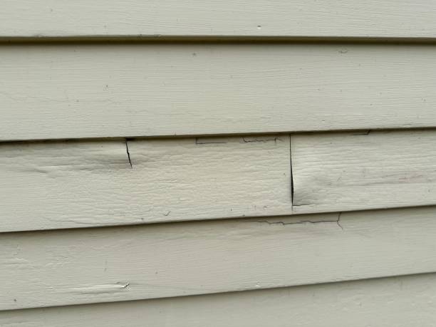 Best Historical Building Siding Restoration  in Creola, AL